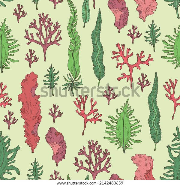 Seamless\
pattern with seaweed, algae: laminaria, porphyra seaweed, irish\
moss, wakame, undaria pinnate seaweed. Green, brown and red algae.\
Edible seaweed. Vector hand drawn\
illustration