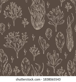 Seamless pattern with seaweed, algae: ulva, enteromorpha, rhodymenia palmata,irish moss. Green and red algae. Edible seaweed. Vector hand drawn illustration