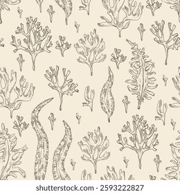 Seamless pattern with seaweed, algae: undaria pinnate, wakame, kombu, rhodymenia palmata, irish moss. Green, brown and red algae. Edible seaweed. Vector hand drawn illustration