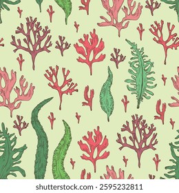 Seamless pattern with seaweed, algae: undaria pinnate, wakame, kombu, rhodymenia palmata, irish moss. Green, brown and red algae. Edible seaweed. Vector hand drawn illustration