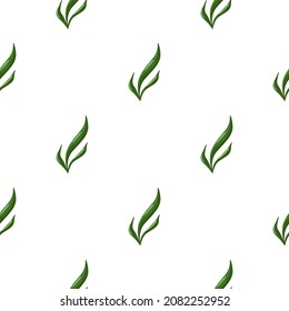 Seamless pattern seaweed on white background. Marine flora templates for fabric. Design vector illustration. For seasonal textile prints, banners, backdrops and wallpapers.