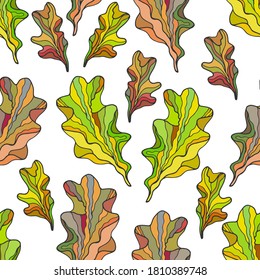 Patrón sin foco. Ensalada de algas, ulva. ilustración de material vectorial eps10. dibujo a mano.