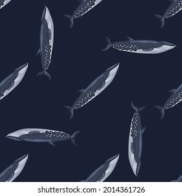 Seamless pattern sei whale on black background. Template of cartoon character of ocean for fabric.Repeated random texture with marine cetacean.Design for any purposes.Vector illustration