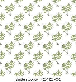 Seamless pattern with Sensitive, or bead fern (Onoclea sensibilis), edible and medicinal plant. Vector illustration