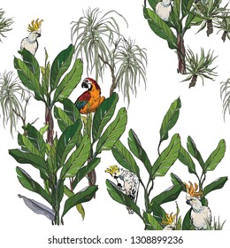Seamless Pattern Separate Jungle Tropical Rainforest Groups with Exotic Birds on Leaves, Many Colorful Cockatoo Parrots 