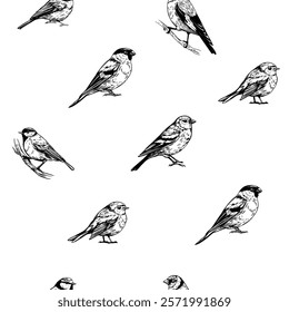 Seamless pattern, set birds, great tit, goldfinch, robin, bullfinch, realistic sketch, hand drawn vector