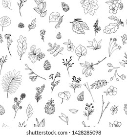 Seamless pattern with set of botanical elements for design. Hand drawn collection of doodles, sketch. Vector. Black outlines isolated on white background.