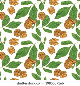 Seamless pattern from a set of broken and whole walnuts with leaves. Set of walnuts in flat graphic and outline style. Gifts of nature.