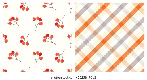 Seamless pattern set of doodle of Autumn berries and plaid texture. Hand drawn background for Autumn harvest holiday, Thanksgiving, Halloween, seasonal, textile, scrapbooking.