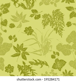 Seamless pattern in shades of green with various common herbs and weeds, which are used in medicine and cosmetology 