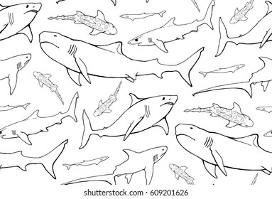seamless pattern with  shark contours on white background. tiger, blue, fox, leopard sharks	