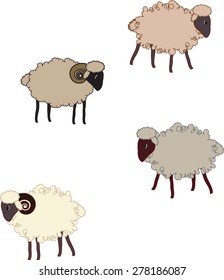 Seamless pattern  with sheep