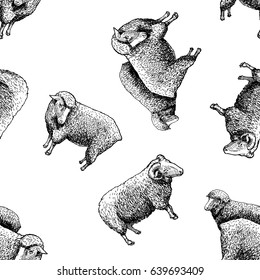 Seamless pattern with sheep. Vector illustration in vintage engraved style on white background.  