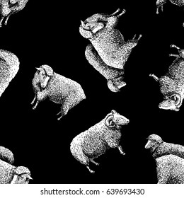 Seamless Pattern With Sheep. Vector Illustration In Vintage Engraved Style On Black Background.  