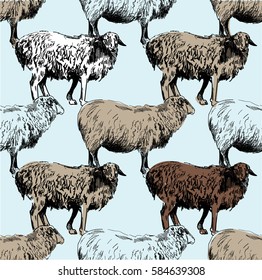 
Seamless pattern with sheep. Wool, yarn, design. Drawing by hand in vintage style.