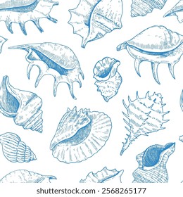 Seamless pattern with shells. Black and white detailed ink illustrations for design.