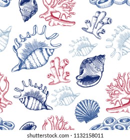 Seamless pattern with shells and corals. Sketch style. Vector