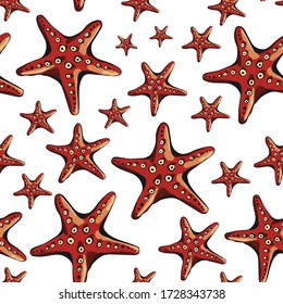 Seamless pattern of shells of different colors bright red blue yellow