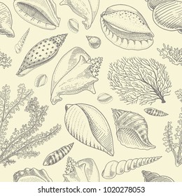 seamless pattern shells, seaweed and mollusca different forms. sea creature. engraved hand drawn in old sketch, vintage style. nautical or marine, monster or food. animals in the ocean.