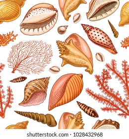 seamless pattern shells, seaweed and mollusca different forms. sea creature. engraved hand drawn in old sketch, vintage style. nautical or marine, monster or food. animals in the ocean.