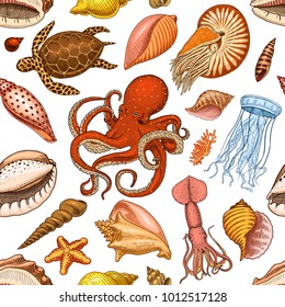 seamless pattern shells, seaweed and octopus and squid. sea life and creature. engraved hand drawn in old sketch, vintage style. nautical or marine, monster or food. animals in the ocean.