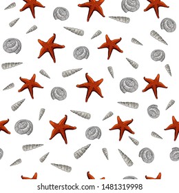 Seamless pattern of shells and starfish for summer design on a white background. Freehand drawing. Marine theme tile.