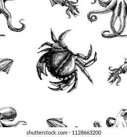 Seamless pattern with shrimps. Marine wallpapers. Vector