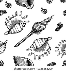 Seamless pattern with shrimps. Marine wallpapers. Vector