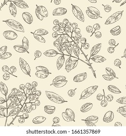 Seamless pattern with sichuan pepper: plant, pepper and leaves. Chinese coriander. Vector hand drawn illustration. 