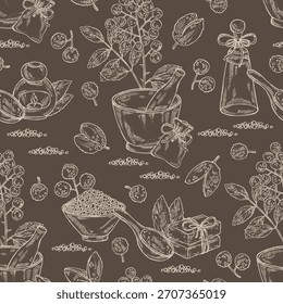 Patrón sin fisuras con pimienta sichuan: planta, pimienta y hojas. Cilantro chino. Cosméticos y planta médica. Vector dibujado a mano ilustración