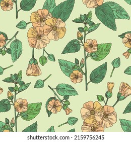 Seamless pattern with sida cordifolia: sida cordifolia plant, bala leaves and sida cordifolia flowers. Bala. Cosmetic, perfumery and medical plant. Vector hand drawn illustration.