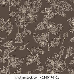 Seamless pattern with sida cordifolia: sida cordifolia plant, bala leaves and sida cordifolia flowers. Bala. Cosmetic, perfumery and medical plant. Vector hand drawn illustration.