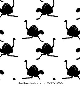 seamless pattern silhouette African bird ostrich is running vector illustration