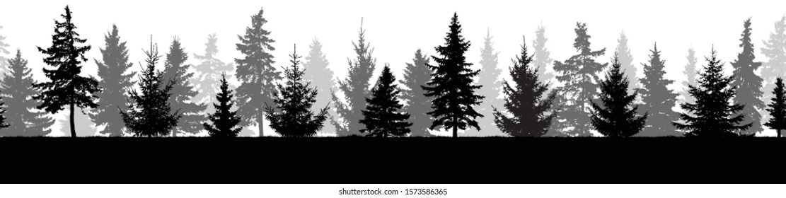 Seamless pattern. Silhouette of forest (fir trees). Vector illustration