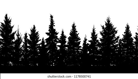 Seamless pattern. Silhouette of forest. Vector