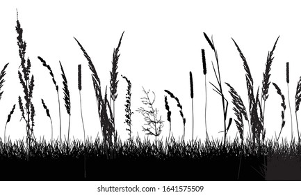 Seamless pattern. Silhouette of grassland (grass, weeds and different plants). Vector illustration.