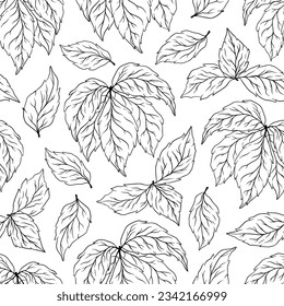 Patrón sin foco de hojas de silueta, ramas. Colección decorativa de plantas negras y blancas. Ilustración de vectores botánicos dibujados a mano para tarjeta de felicitación, papel de pared, papel de envoltura, tela