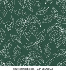 Seamless pattern of silhouette leaves and branches. Decorative outline collection of white plants. Hand drawn botanical vector illustration for greeting card, wallpaper, wrapping paper, fabric