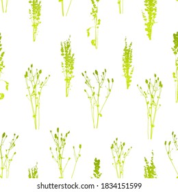 Seamless pattern with silhouettes of green wild herbs isolated on white - natural background for fabric design