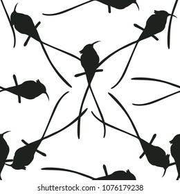 Seamless pattern with silhouettes of humming birds. Jungle vector illustration design for fabrics, wallpapers.
