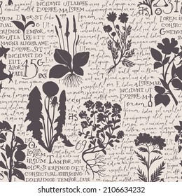 Seamless pattern with silhouettes of medicinal herbs and handwritten text Lorem Ipsum on a beige backdrop. Vector background on the theme of herbal medicine. Retro wallpaper, wrapping paper, fabric