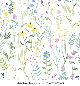 Seamless pattern with simple graphic wild flowers