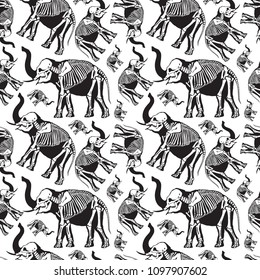 Seamless pattern. Skeleton of an elephant on a white background. Anatomy of the mammoth. Ancient fossil animal. Great for printing on a T-shirt. Ideal for decoration of Halloween.