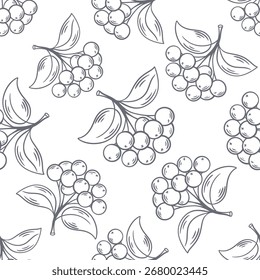 Patrón sin fisuras con boceto de ramas y hojas de baya. Fondo de baya natural en estilo de grabado vintage. Dibujado a mano impresión de la naturaleza, gráfico de Vector