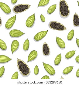 Seamless pattern with sketch cardamom . Painted cardamom . Pattern tiles with cardamom . Culinary herbs . The fruits of the plant . Seasoning for food . Eastern cuisine.