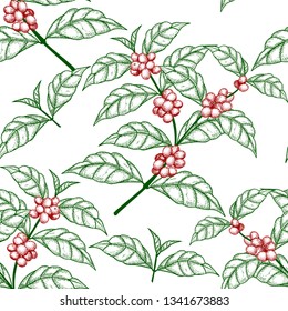 seamless pattern sketch coffee tree branch with berries on a white background