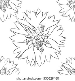 seamless pattern sketch cornflower, floral print on a white background, vector illustration