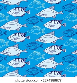 Seamless pattern with sketch different fishes isolated on blue background. Vector hand drawn illustration