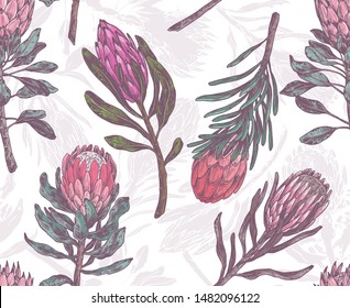 Seamless pattern with sketch drawing of protea. Botanical vector illustration for wallpaper, wrapping, textile print. Tropical exotic flower