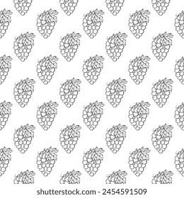 Seamless pattern with sketch grapes in vintage style. Vector hand drawn doodle background
